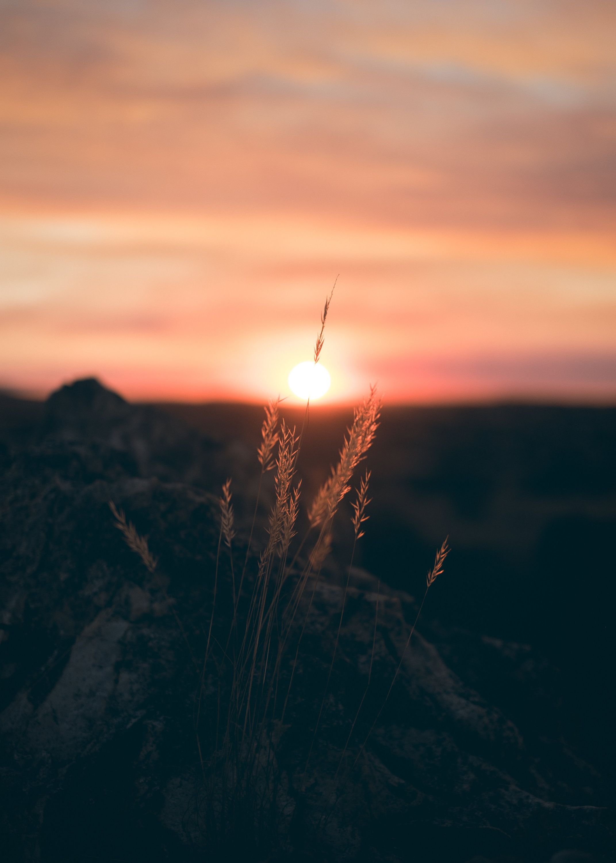 Photo of a sunset next to some grass
