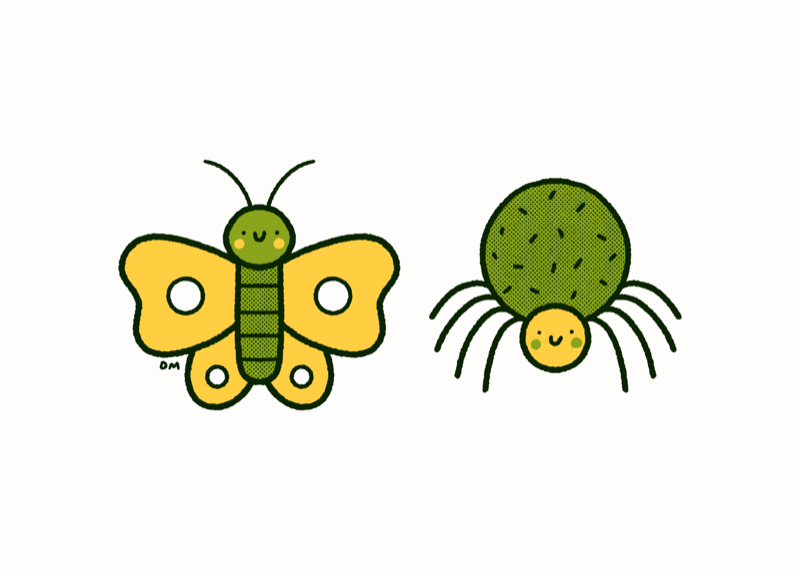 Green And Yellow Butterfly And Spider