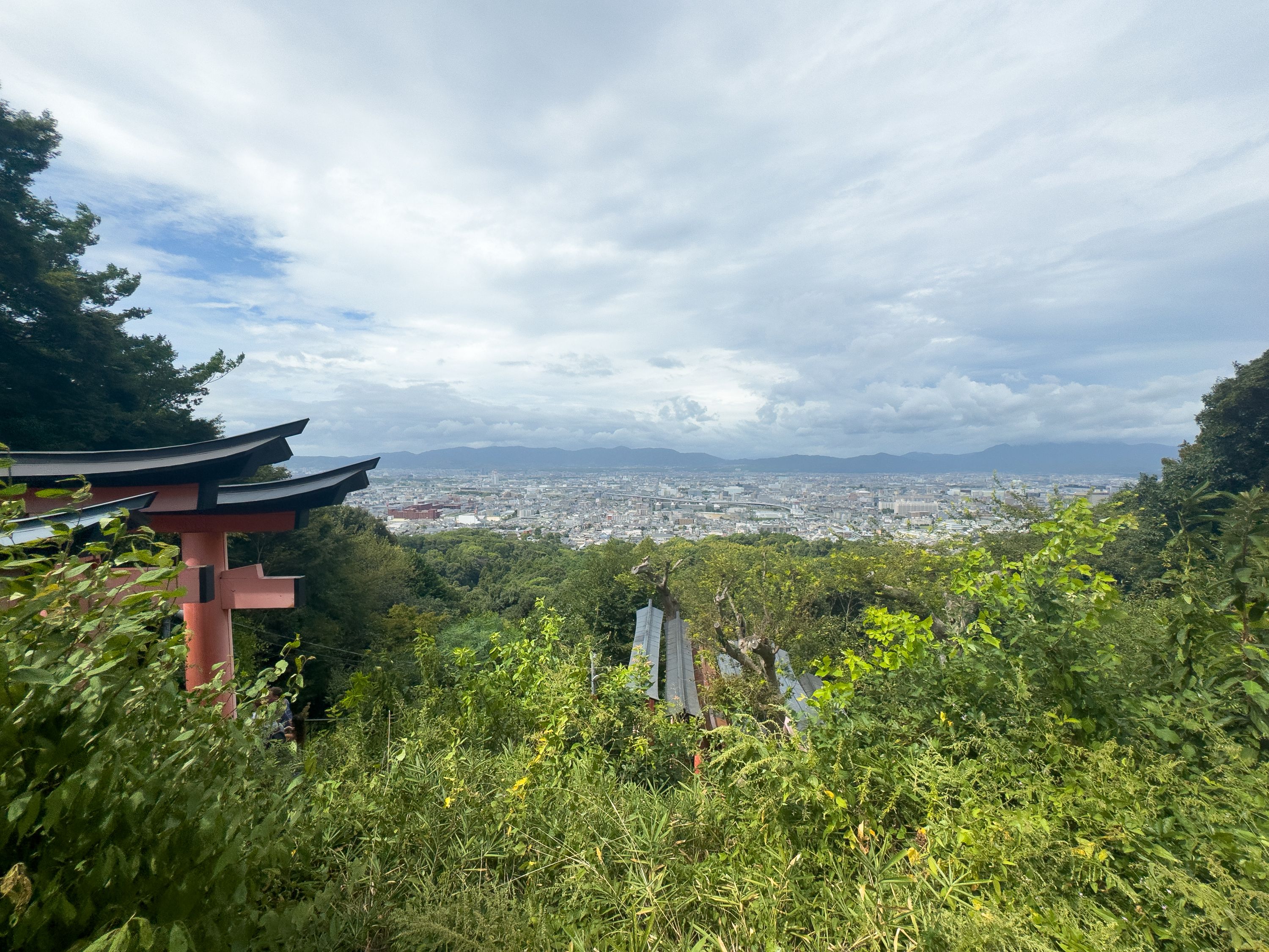 View from the Top of the Inari Shrine