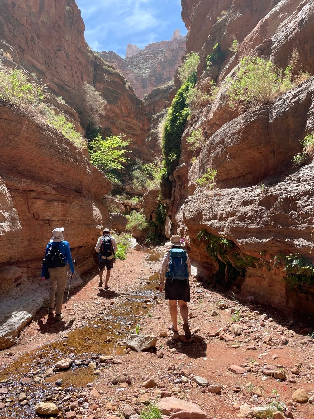 Walking up Saddle Canyon