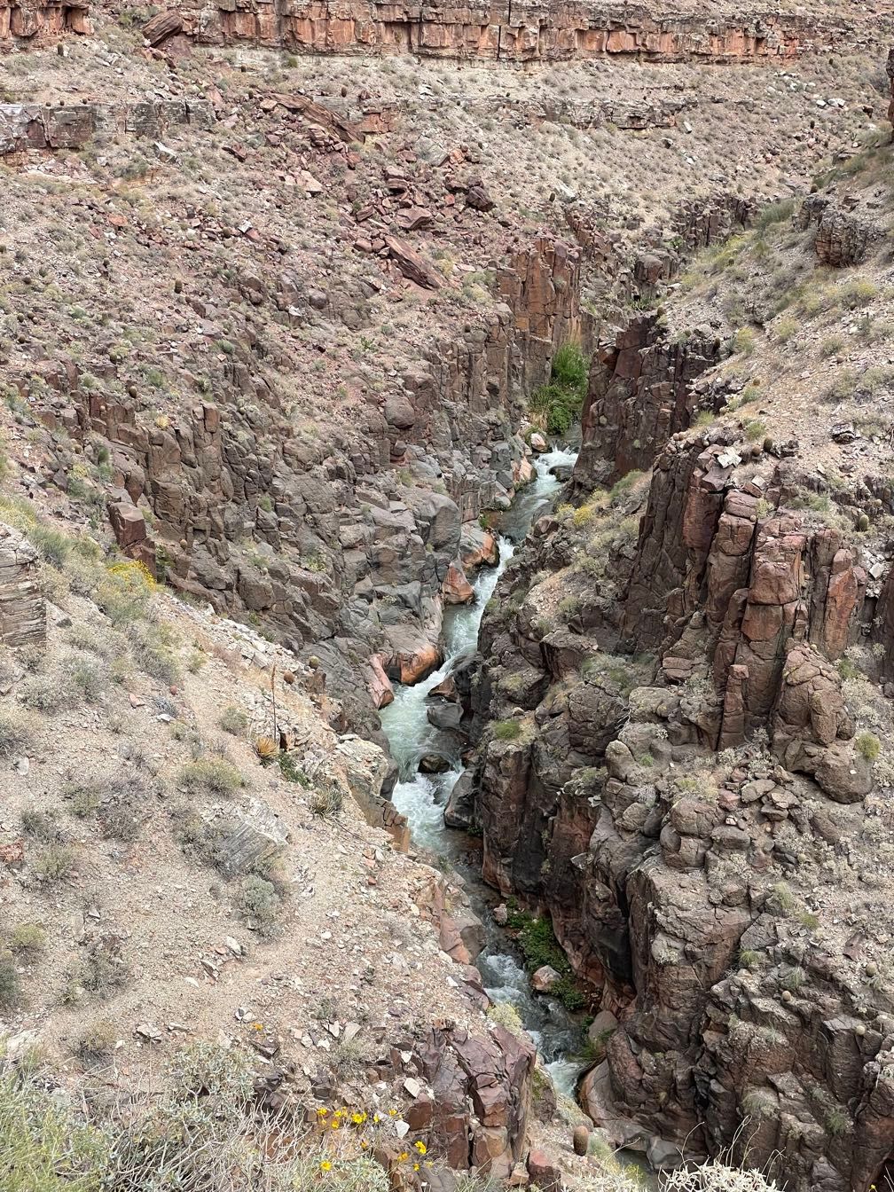 Tapeats Creek far below the trail