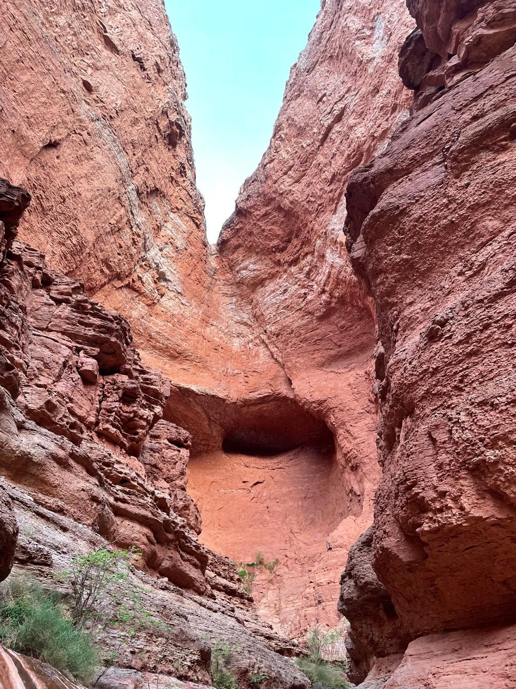 Redbud Alcove