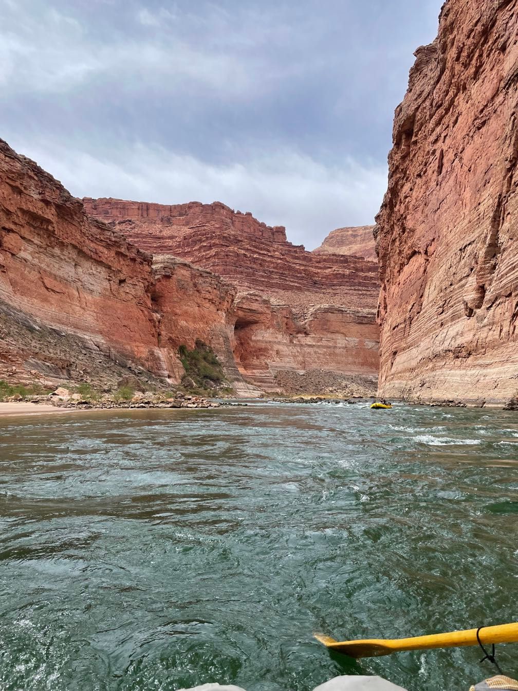 The big patch of greenery on the canyon wall is Vasey’s Paradise