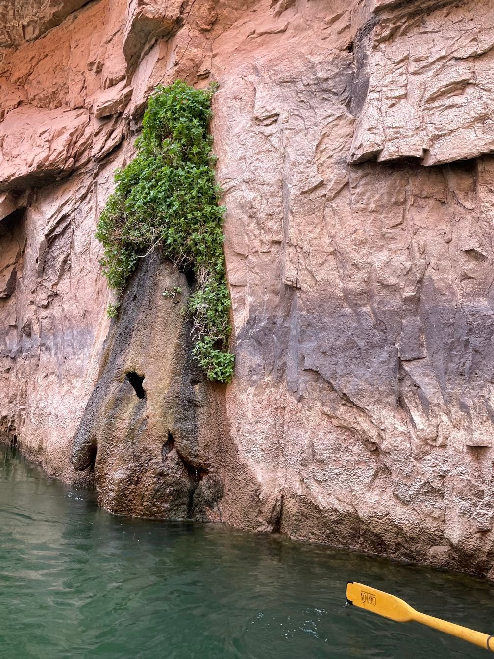 Travertine buildup beneath a spring