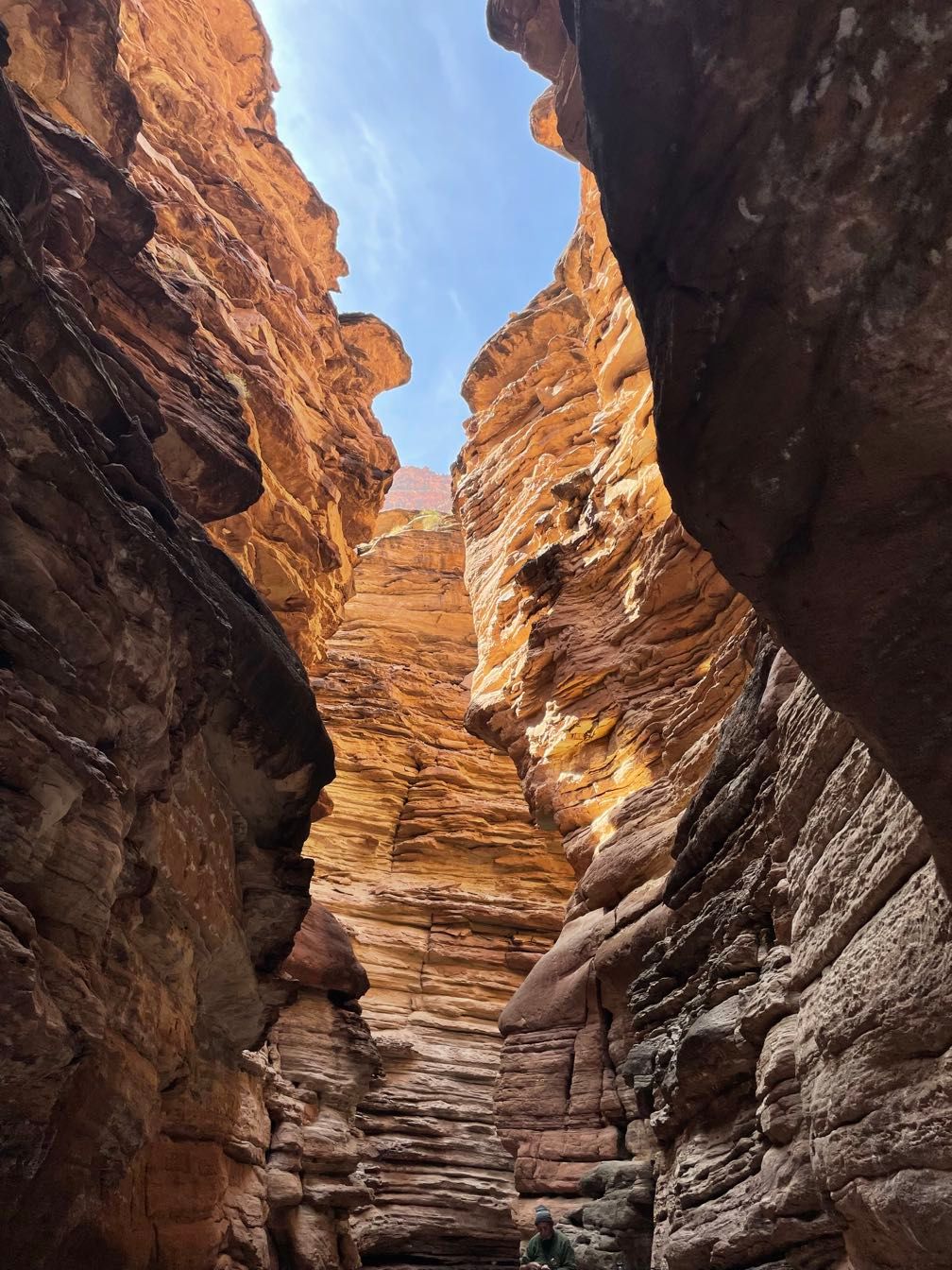 Looking up from Blacktail Canyon