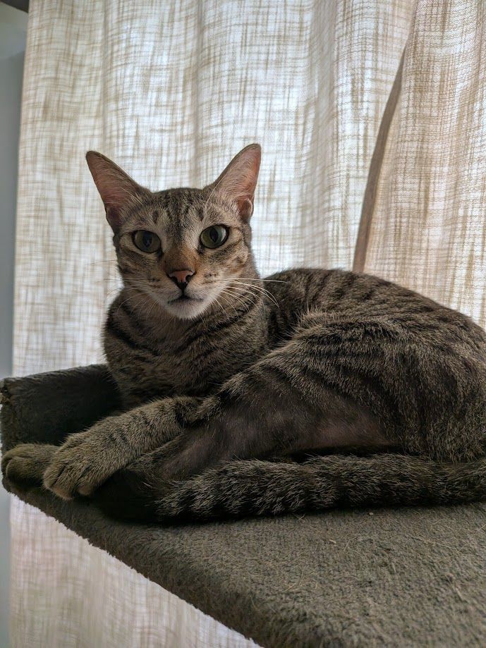 This boy is getting cuter by the day!