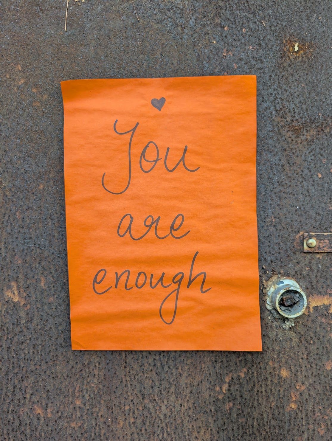 A random poster I found on my walk this week. Maybe its something we all need to tell ourselves - “You are enough”