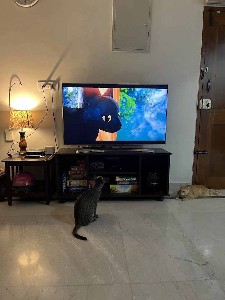 Sam is watching the TV, while Minnal is watching Sam