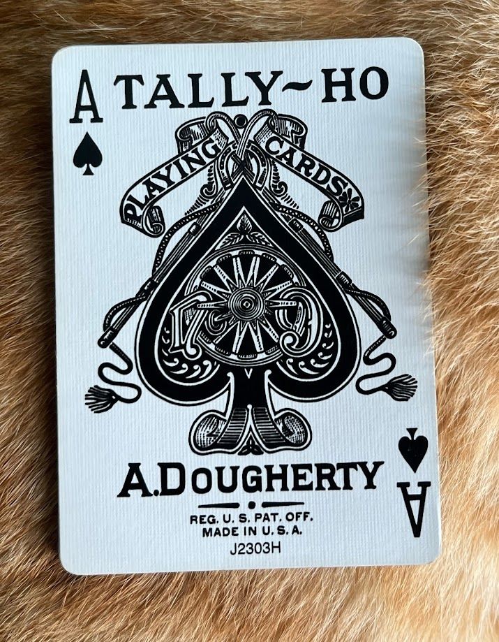 The Ace of Spades on a found a nice resting place, on my cat’s belly