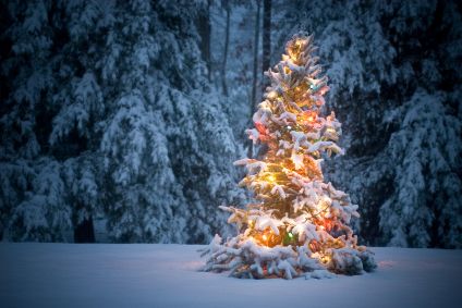 Christmas Tree