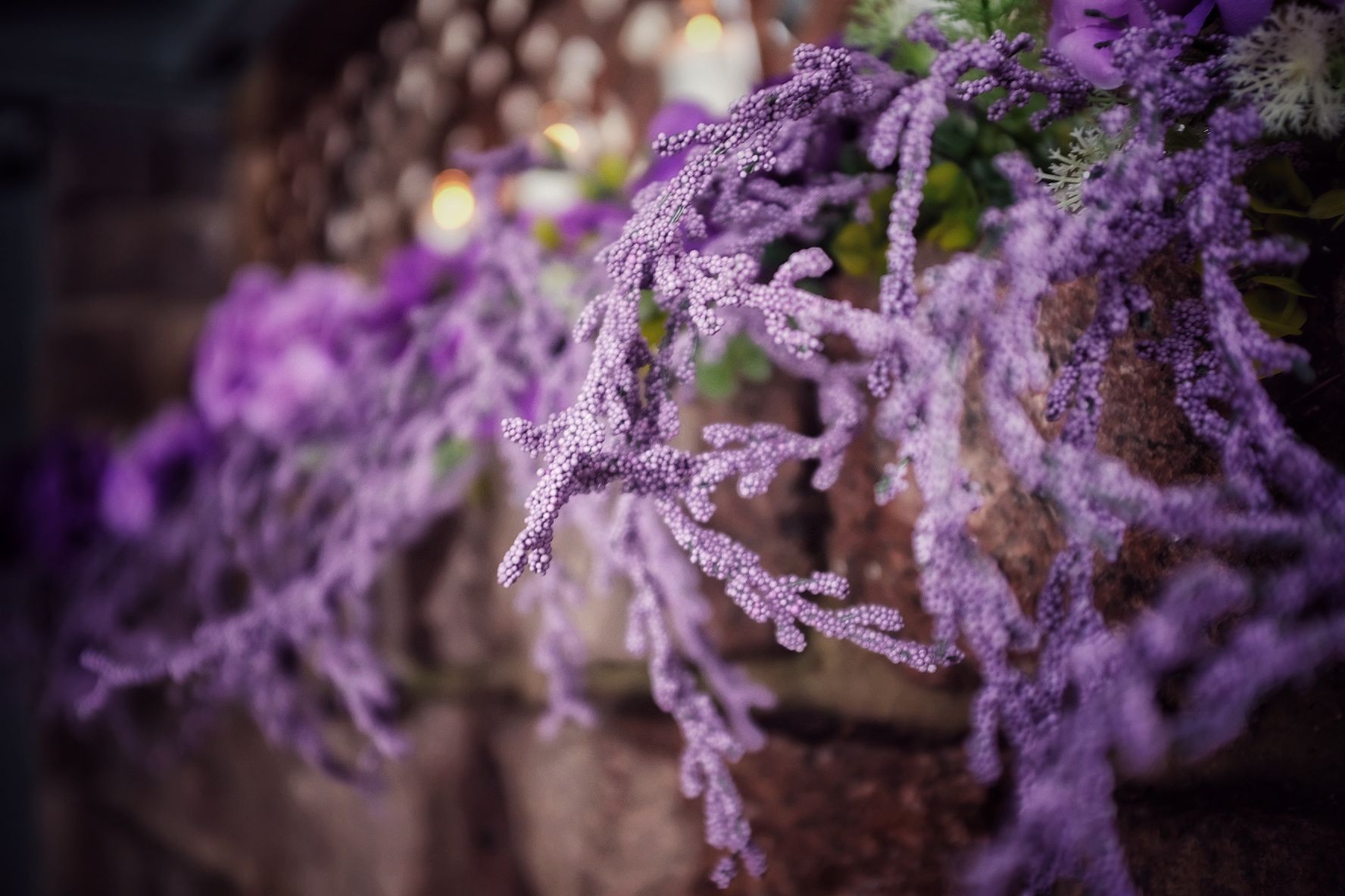 Purple flower stems