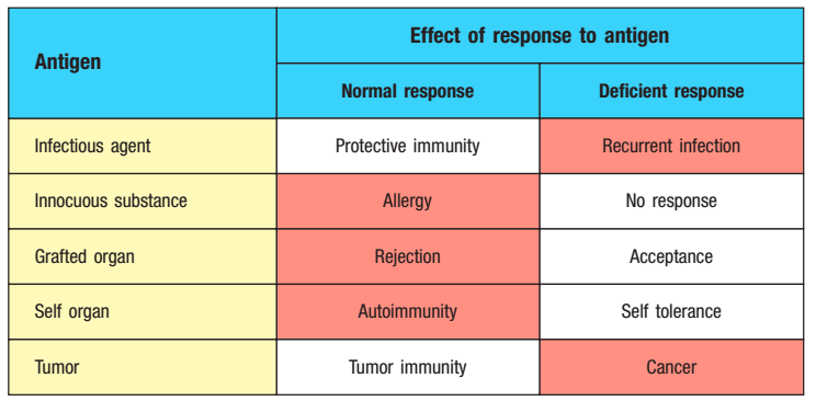 Immune responses can be beneficial (white) or harmful (red), depending on the nature of the antigen. (source: Janeway’s Immunobiology)
