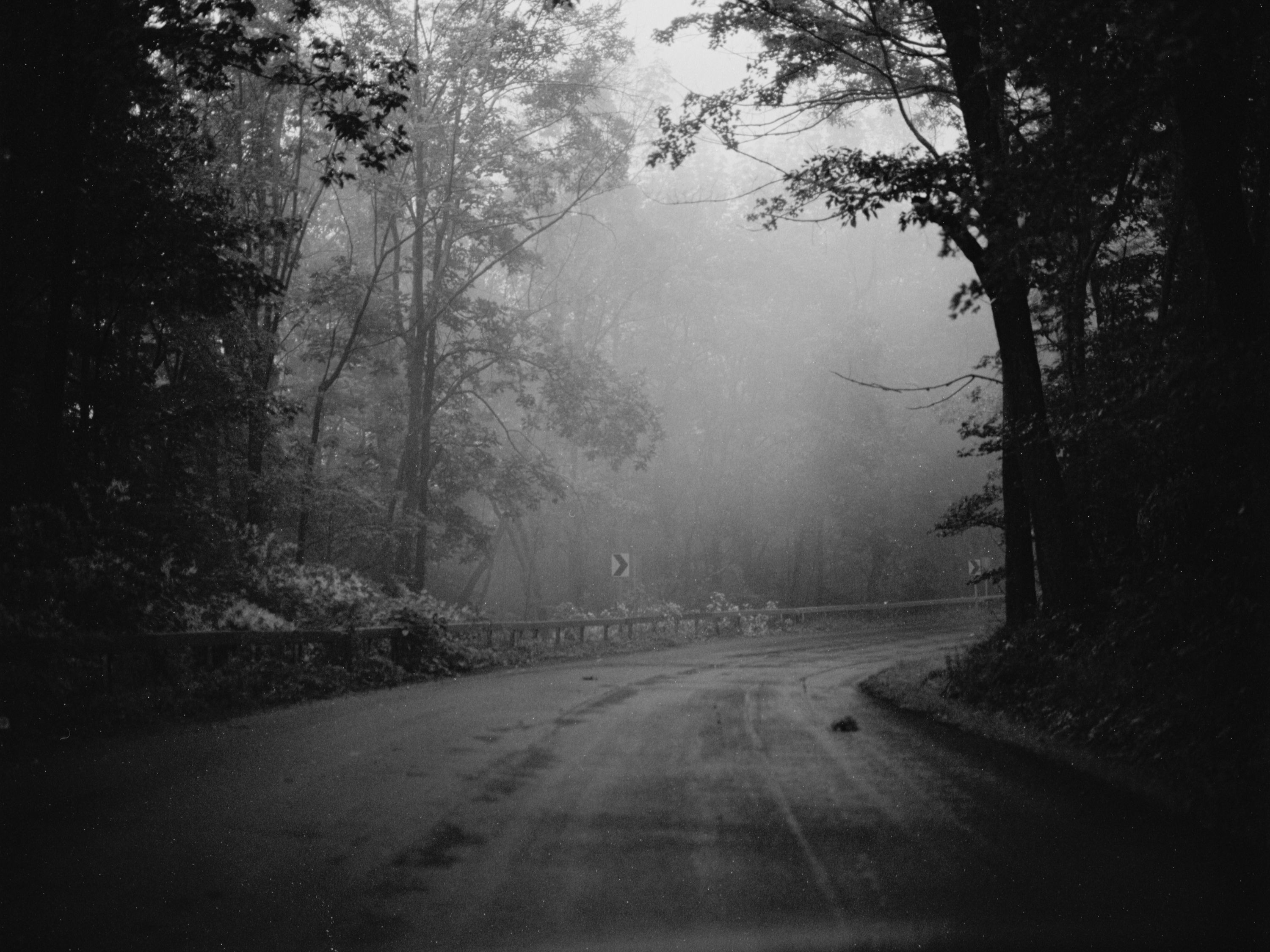 Foggy Road