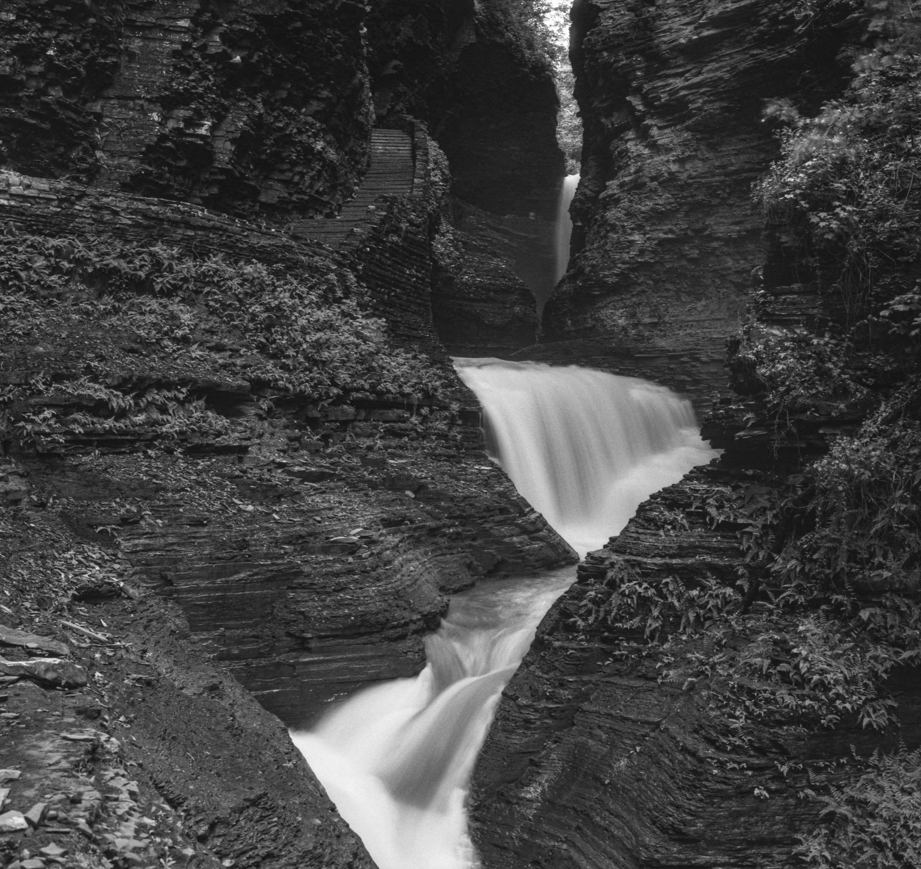 Watkins Glen