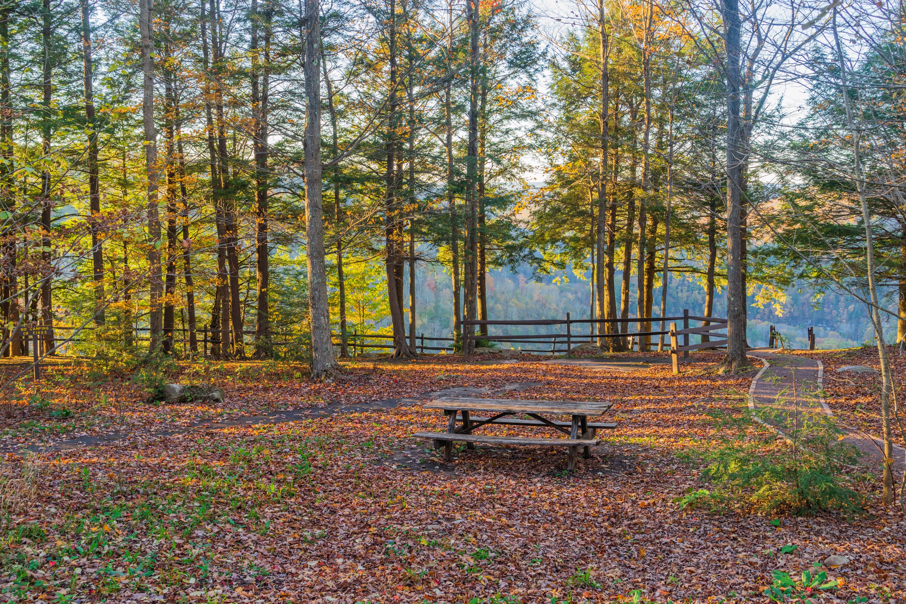 Picnic Table