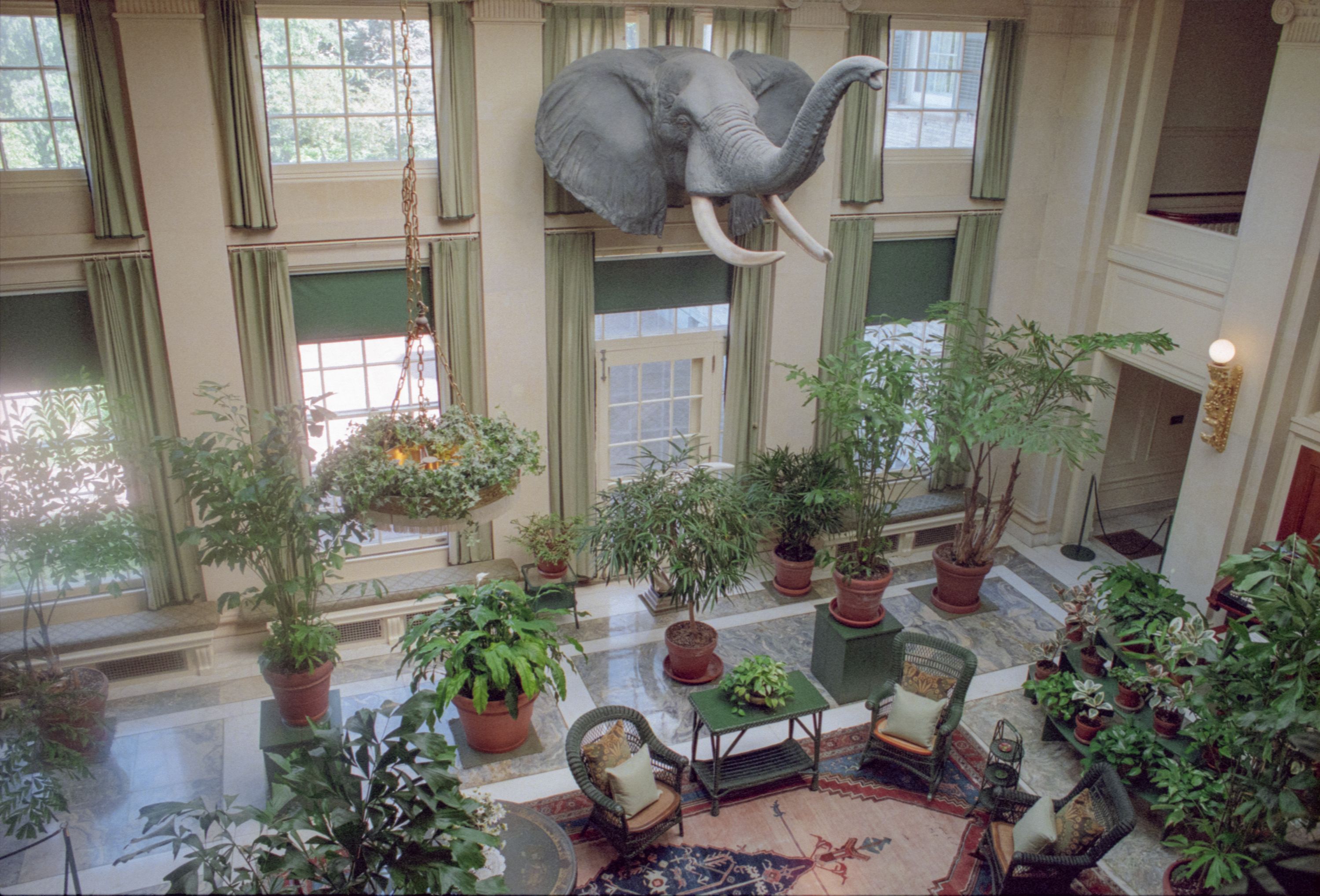 George Eastman House 2