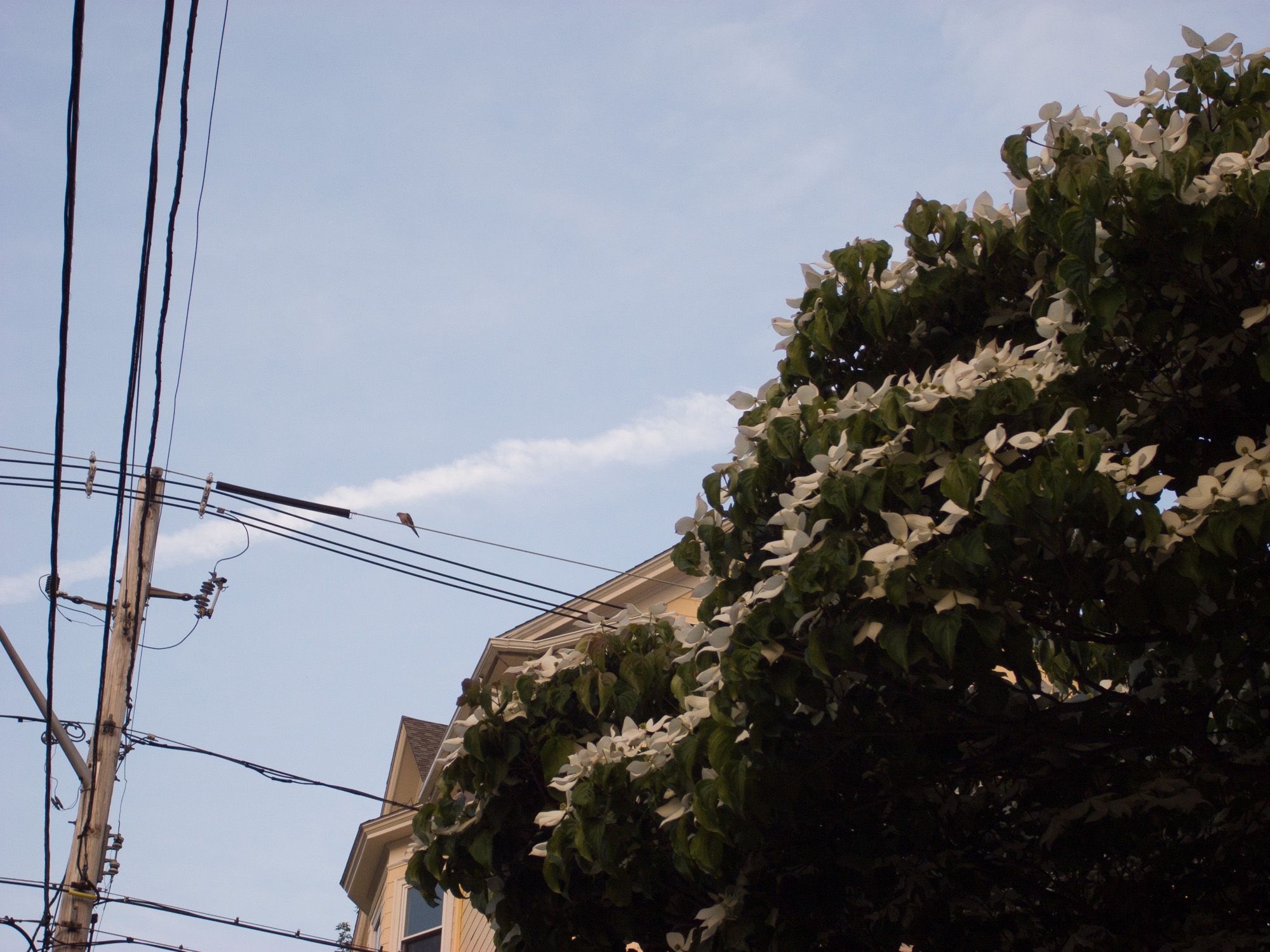 Ricoh Caplio GX100, 15.3mm, ƒ4.4, 1/160sec, ISO 100 — Providence’s East Side