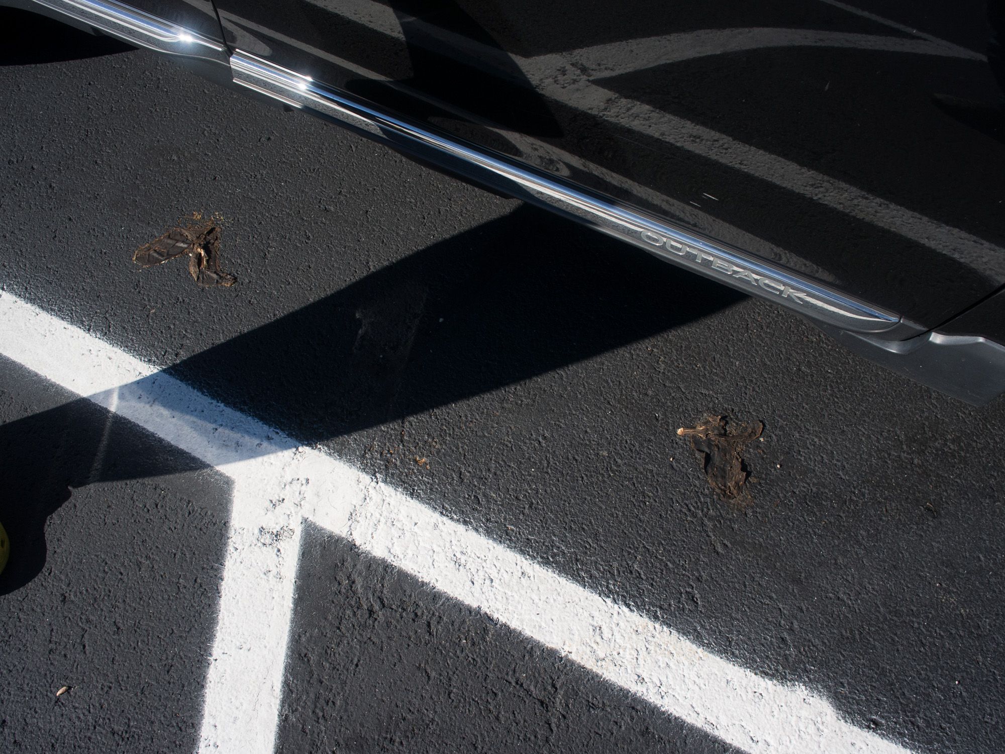 Ricoh GXR A12, 18.3mm, ƒ5.6, 1/1050sec, ISO 200 — Turnpike Rest Stop, Ohio