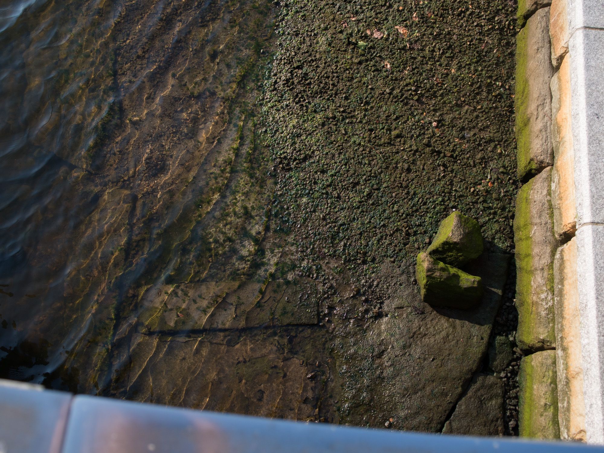 Ricoh GXR A16, 25mm, ƒ4.3, 1/540sec, ISO 200 — From the Providence Pedestrian Bridge