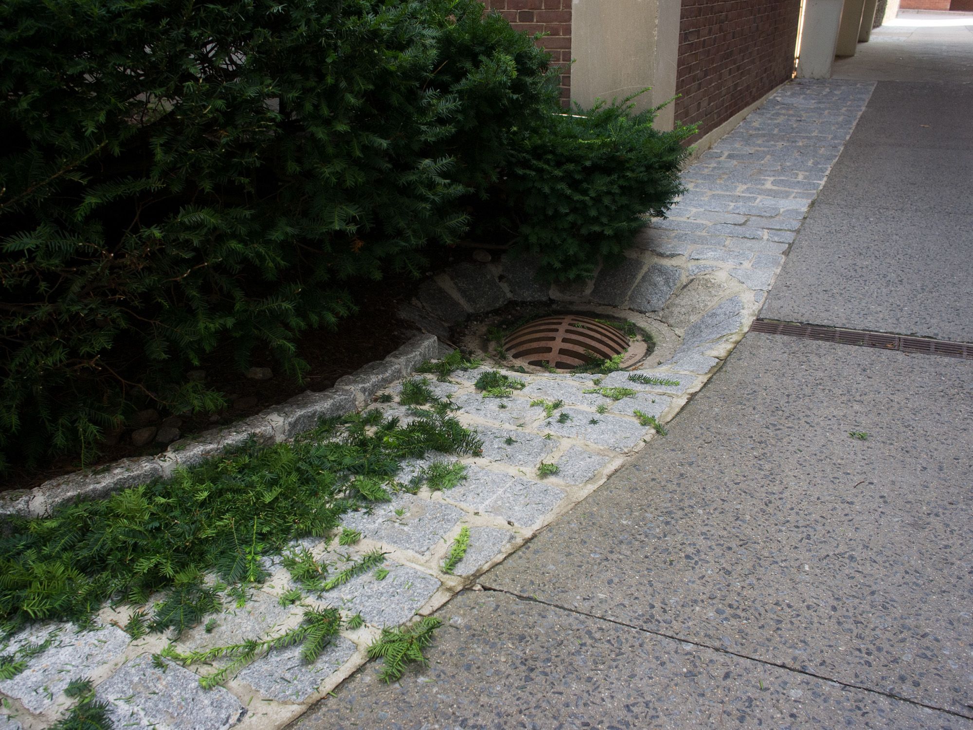 Ricoh GXR A12, 18.3mm, ƒ4, 1/250sec, ISO 367 — Brown University