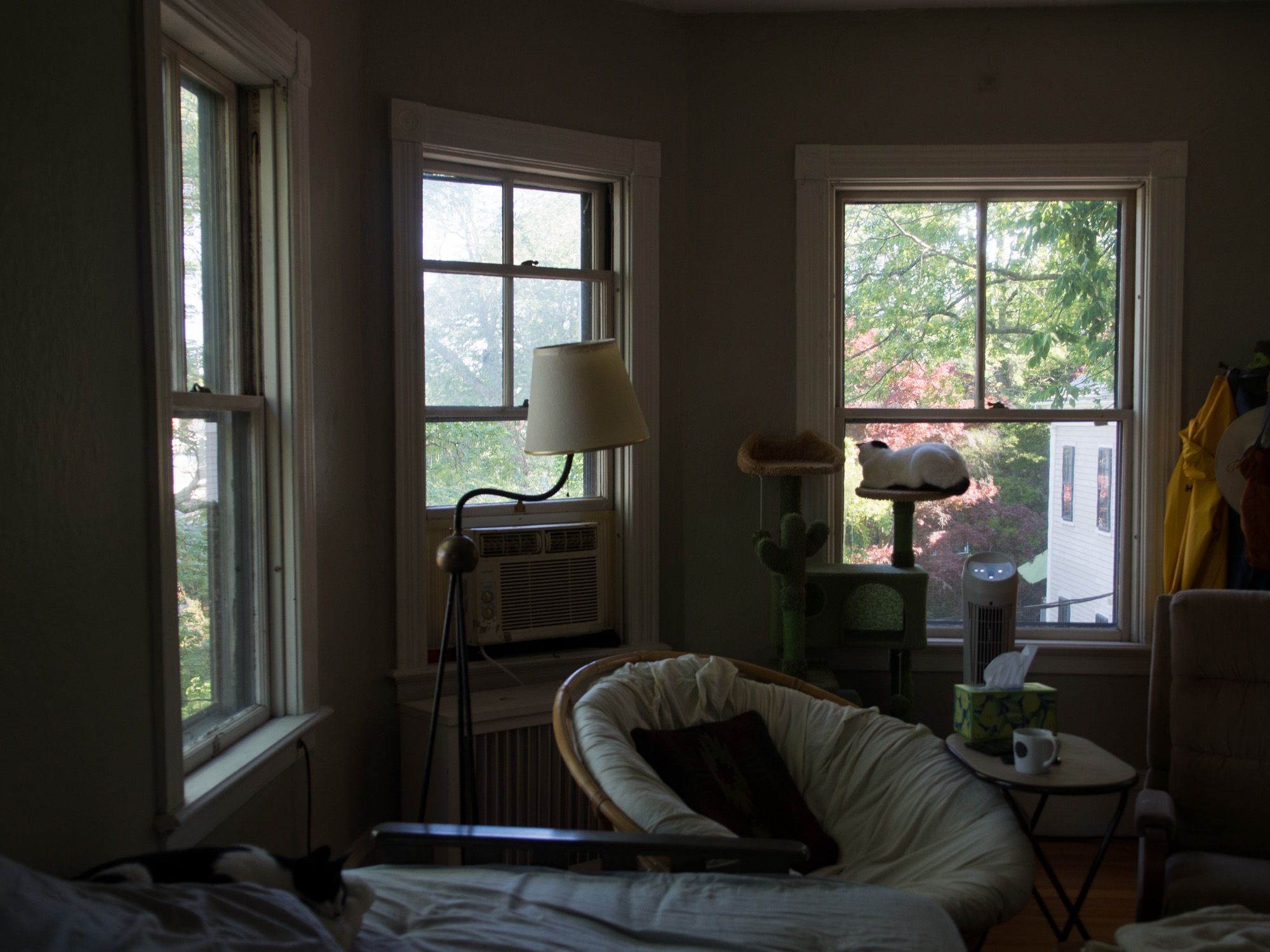 Ricoh GXR A16, 25mm, ƒ4.3, 1/60sec, ISO 271 — Apartment Living Room