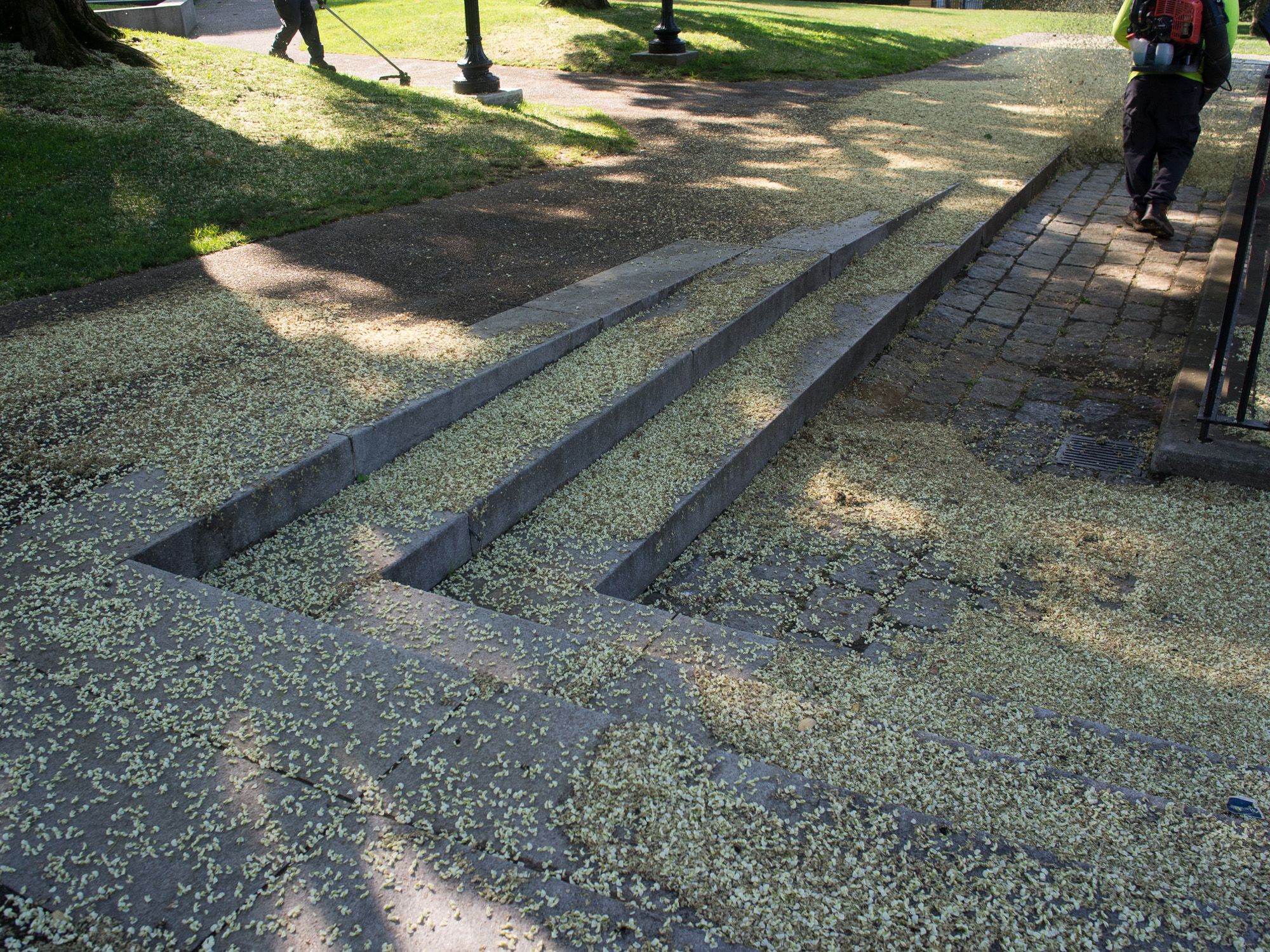 Ricoh GXR A12, 18.3mm, ƒ4, 1/540sec, ISO 200 — Prospect Terrace