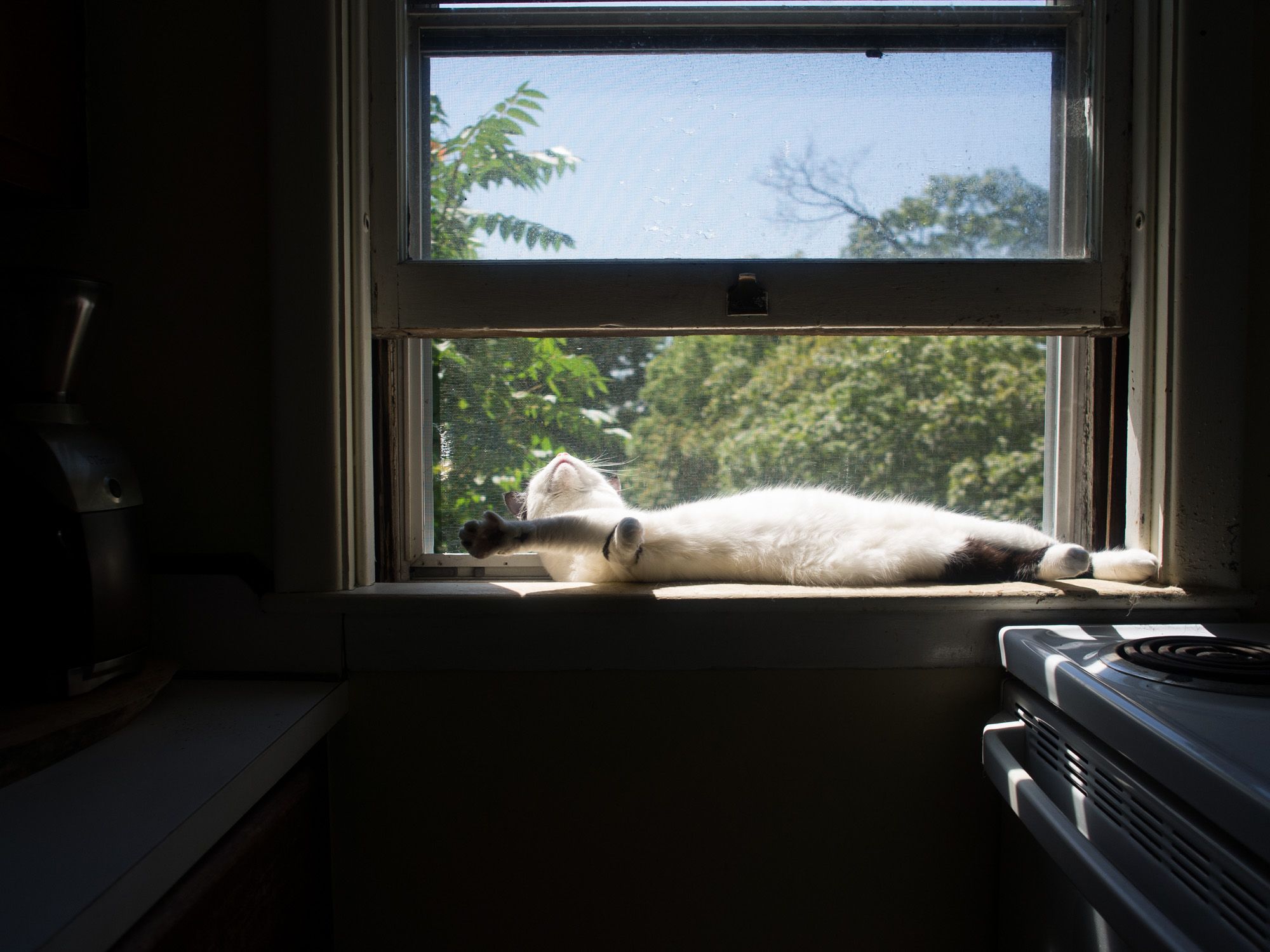 Ricoh GXR A12, 18.3mm, ƒ2.8, 1/1250sec, ISO 200 — Apartment Kitchen
