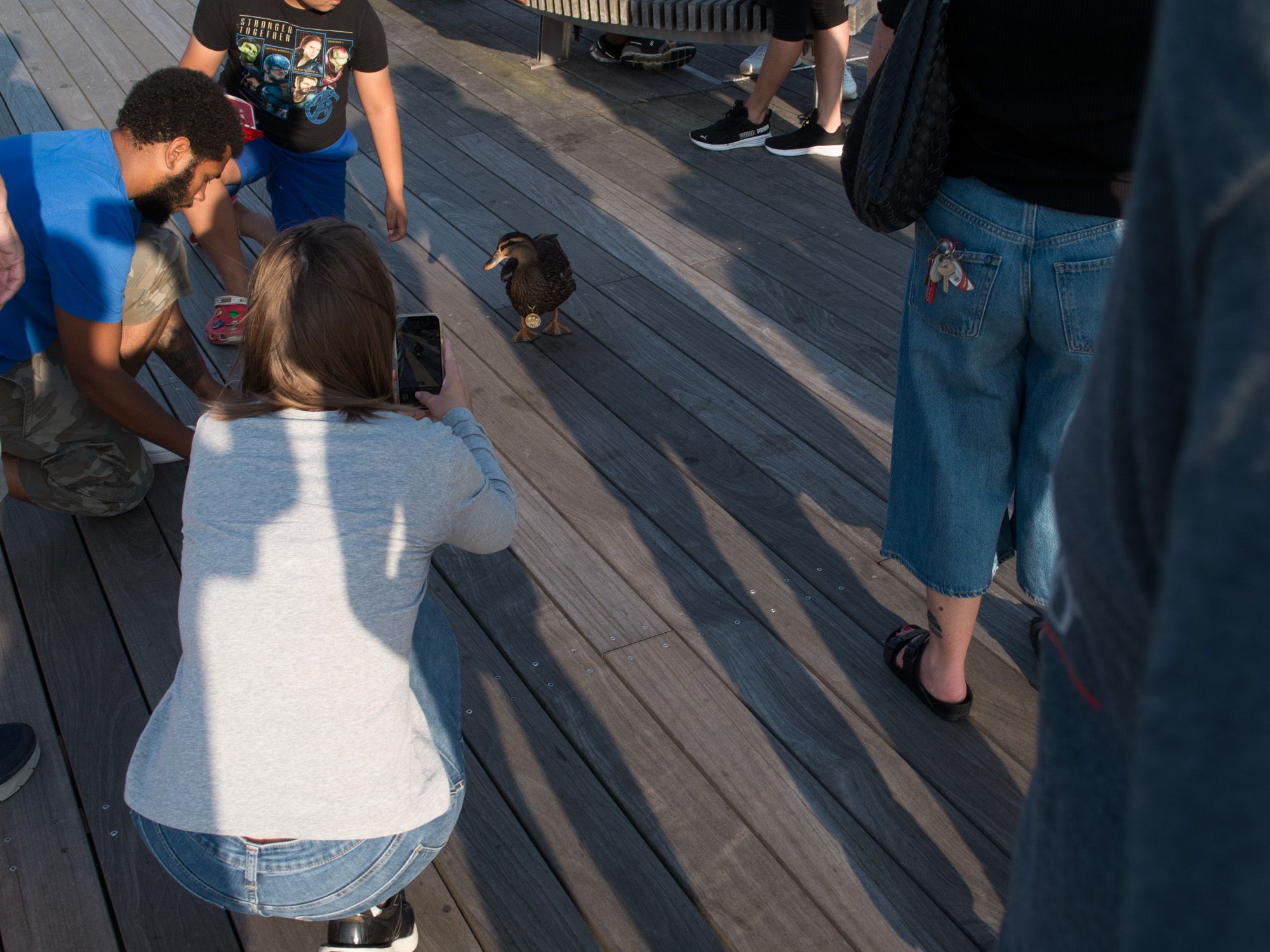 Ricoh GXR A16, 25mm, ƒ7.7, 1/350sec, ISO 200 — Providence Pedestrian Bridge