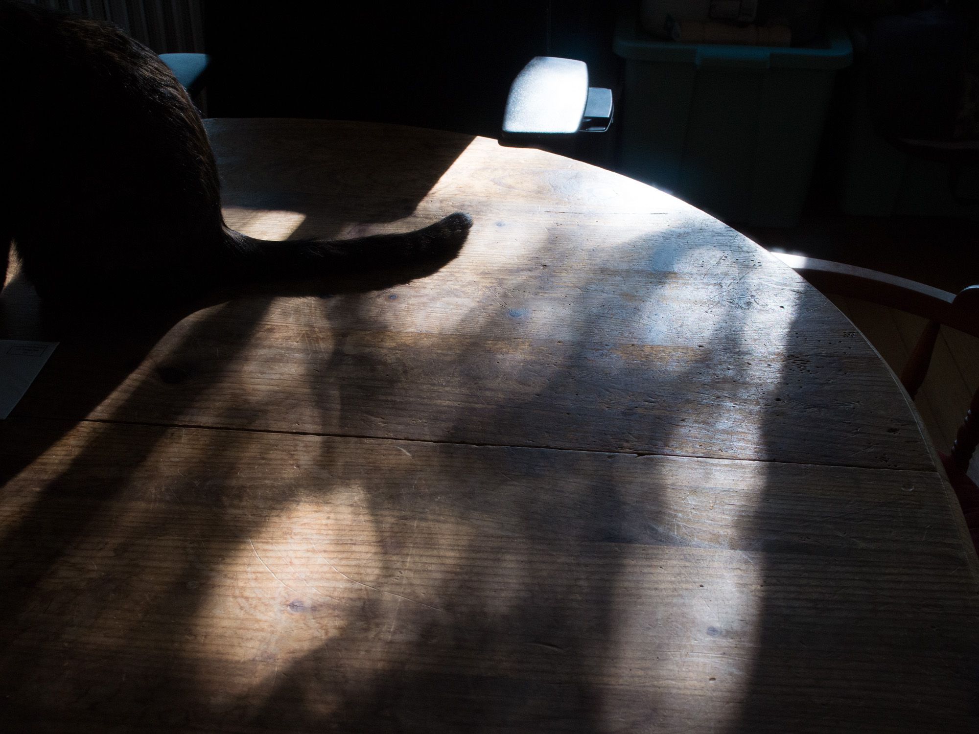 Ricoh GXR A16, 25mm, ƒ8.6, 1/250sec, ISO 1250 — Apartment Living Room