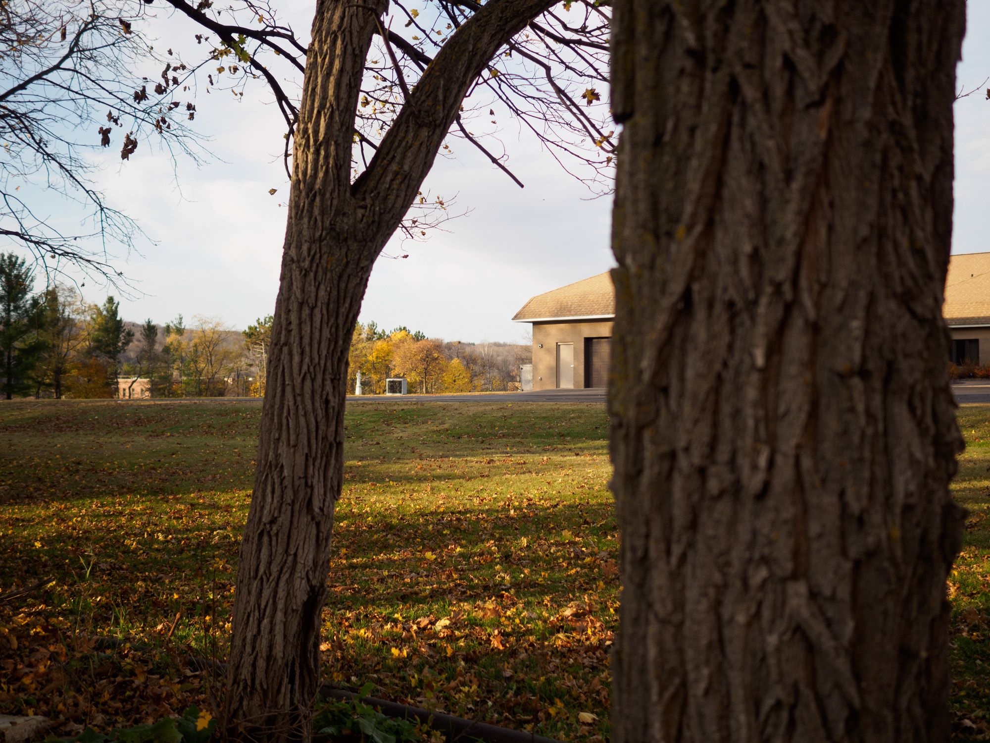 Olympus E-M5 II, Olympus 17mm ƒ1.8, ƒ1.8, 1/3200sec, ISO 200