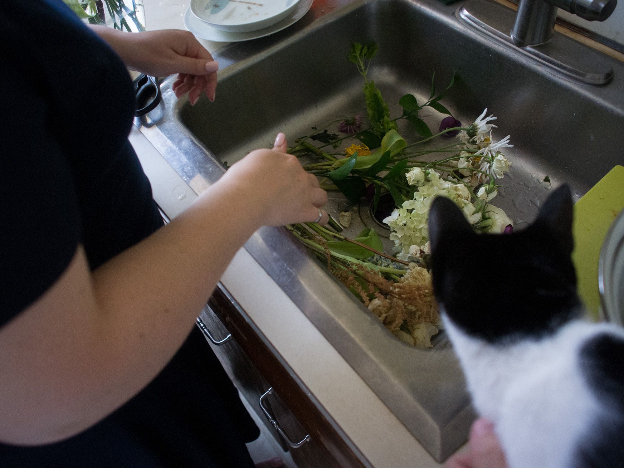 Ricoh GXR A12, 18.3mm, ƒ2.5, 1/250sec, ISO 1671 — Apartment Kitchen