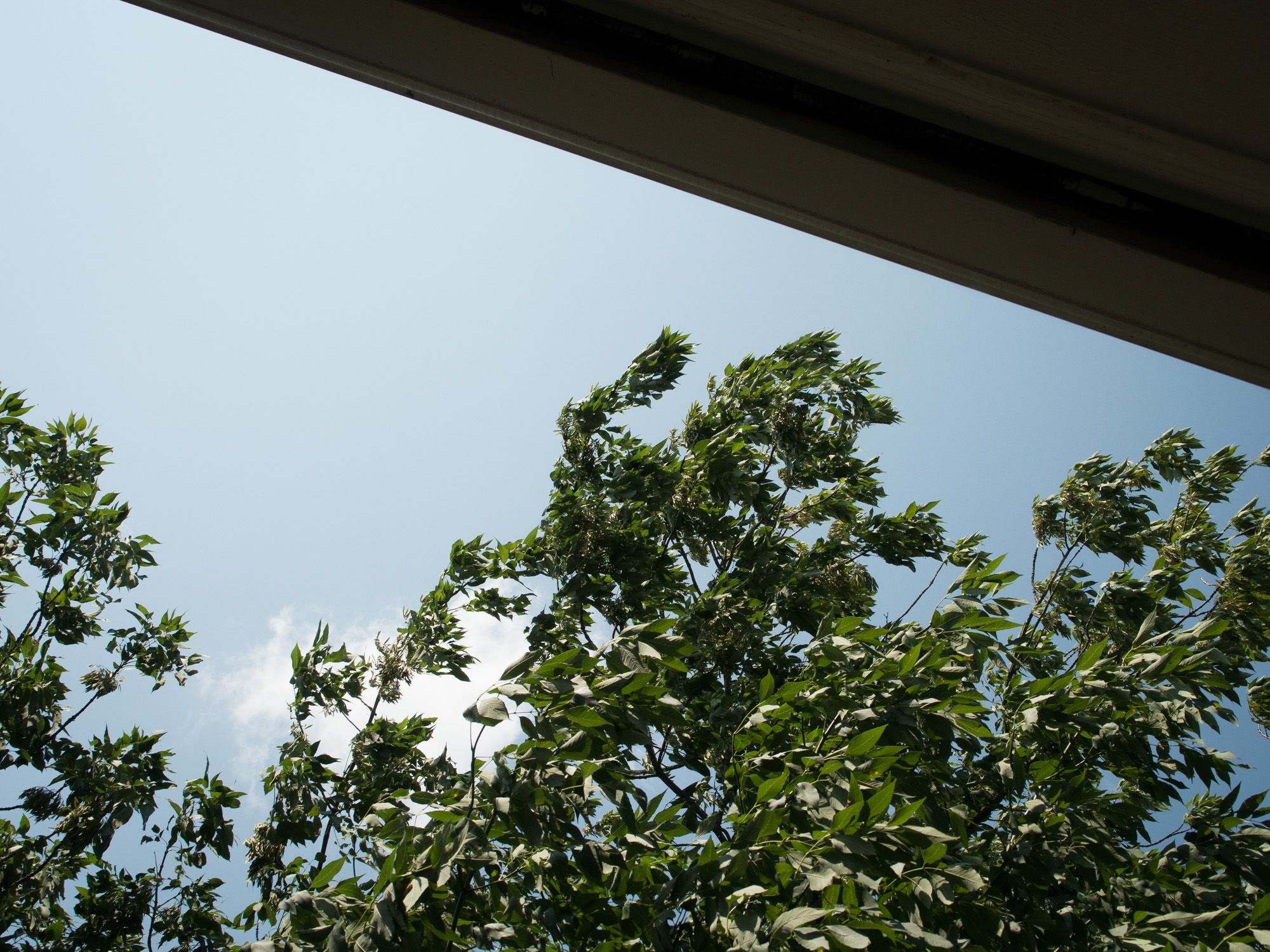 Ricoh GXR A16, 25mm, ƒ7.7, 1/1250sec, ISO 200 — From the Apartment Porch