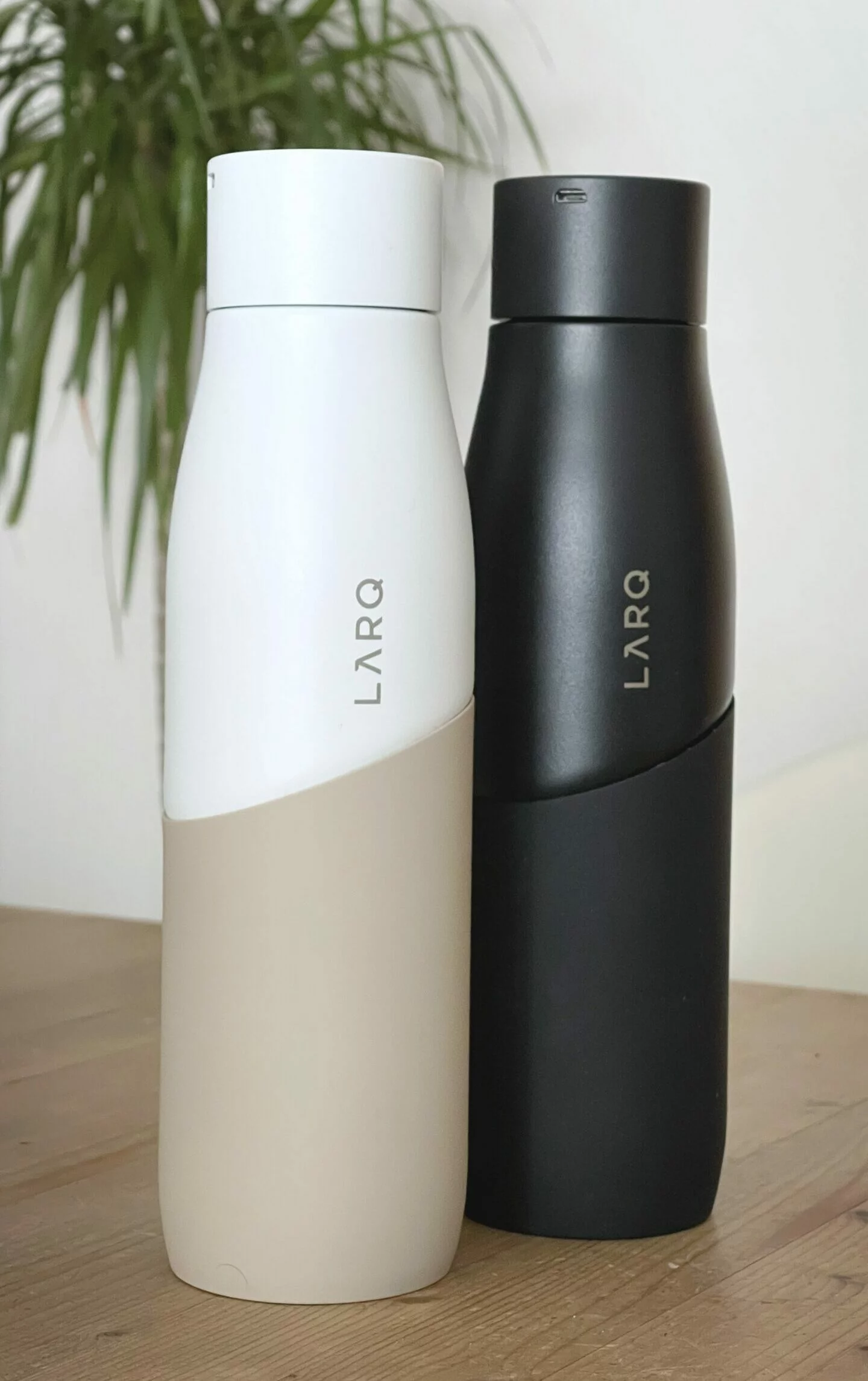 Die LARQ Bottle