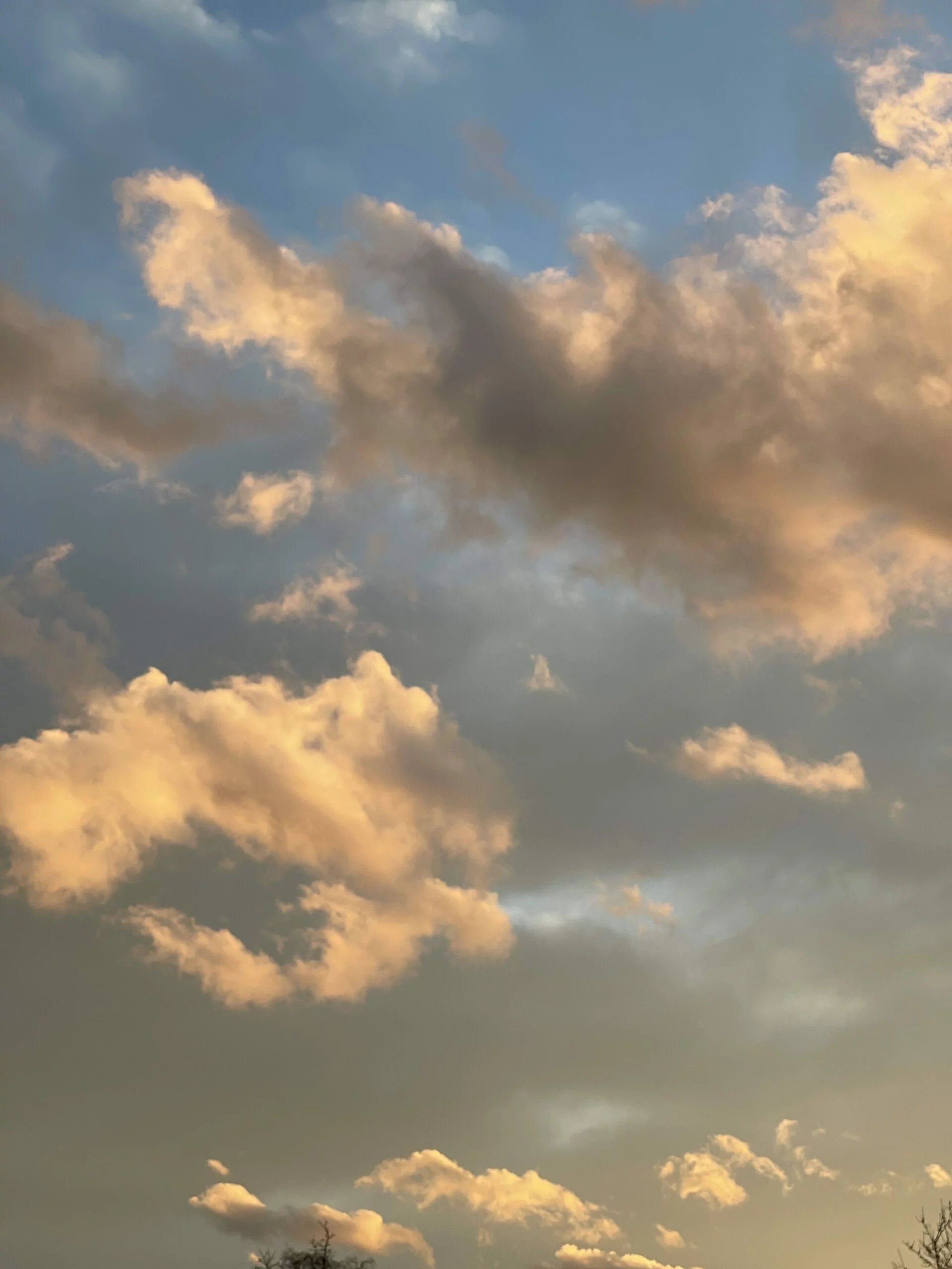 Nach Regen kommt Sonne