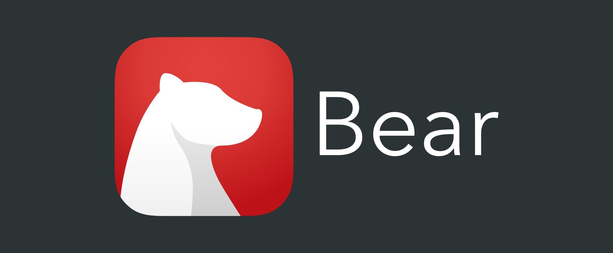 Bear Logo