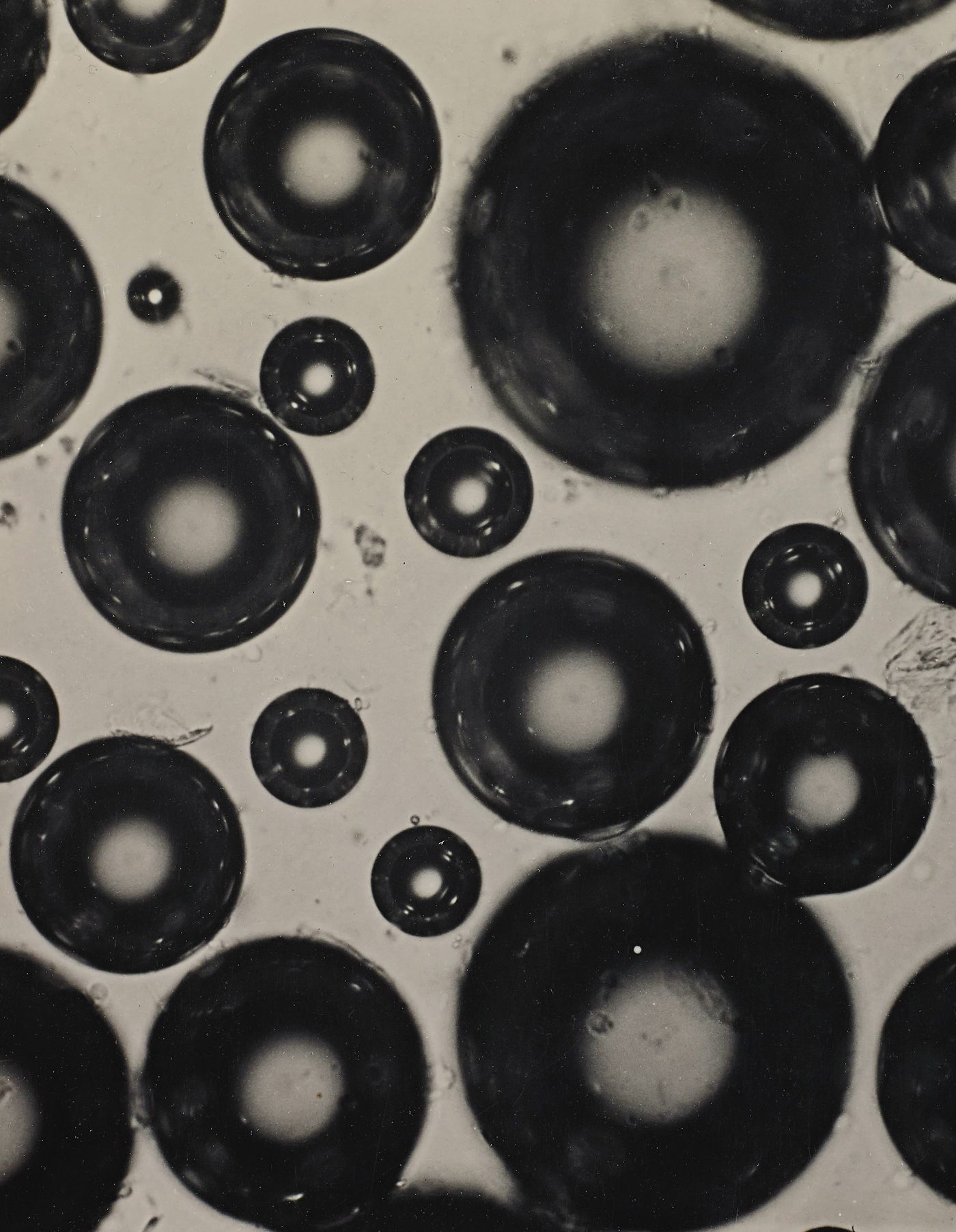 imre kinszki, human saliva 200x micro-photograph, gelatin silver print, c. 1930 - 1935; (17.9 cm x 18.9 cm) private collection