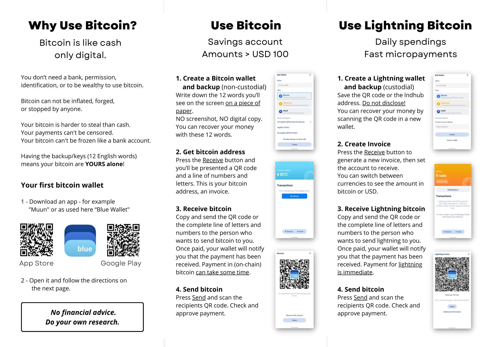 The Bitcoin flyer