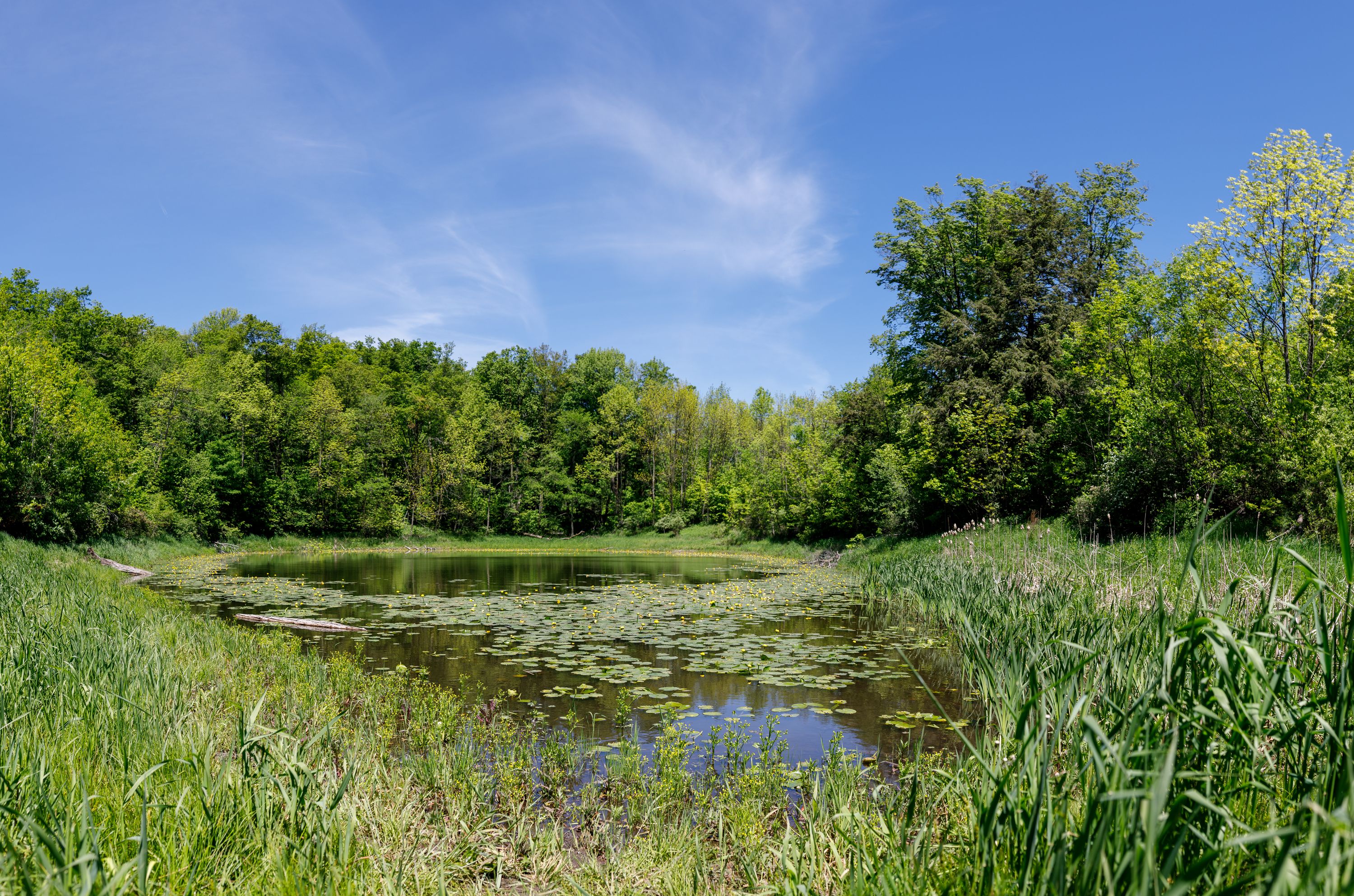 24mm ƒ/1.4 shot at ƒ/4.5 at 1/500th, ISO 100. This is a three-shot panorama, stitched in Lightroom. The full image is about 7800x5200 pixels after cropping.