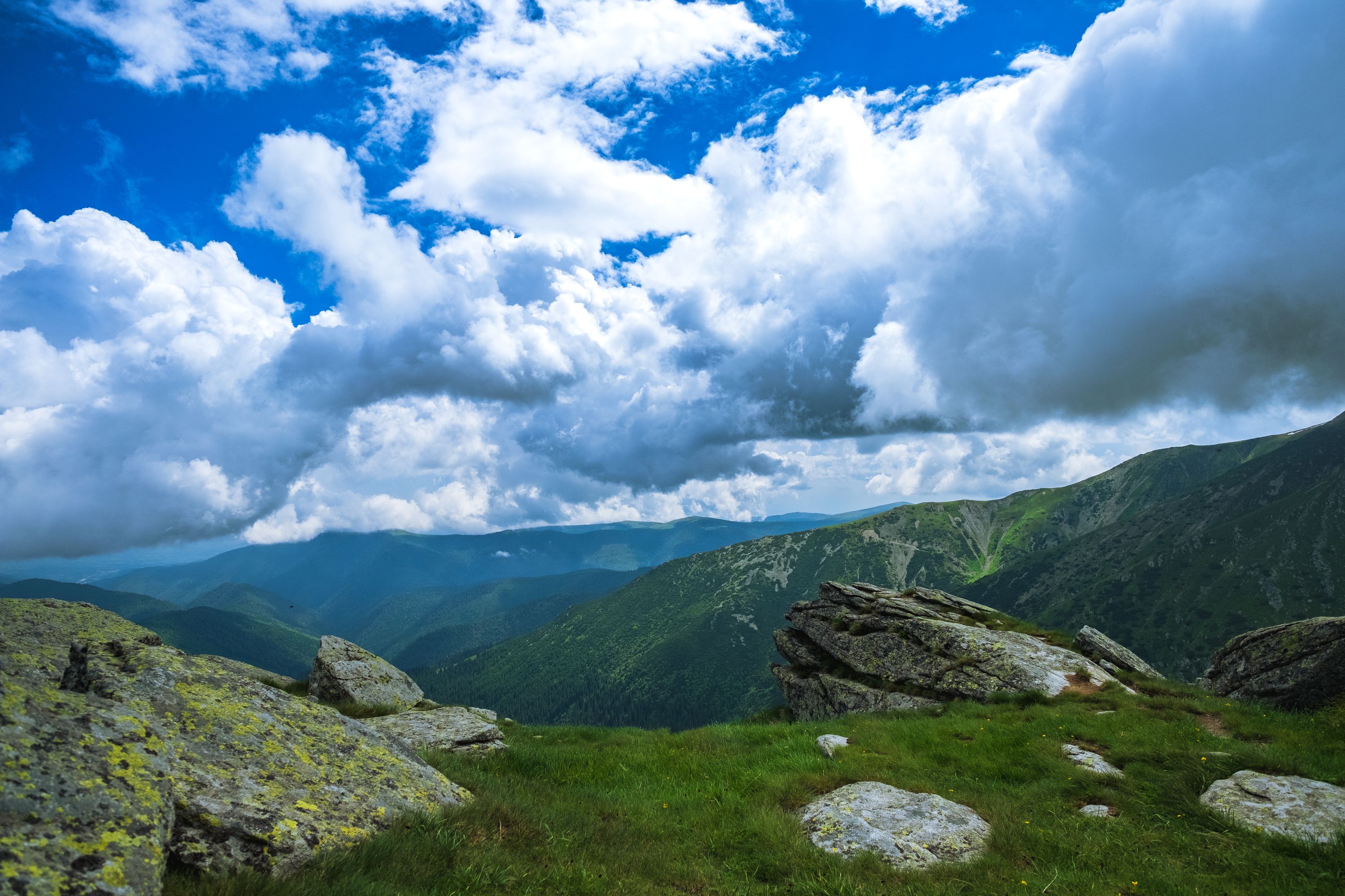 I wasn’t quick enough to snap a shot of the chamois, but the view was worth the hike. Fujifilm X-Pro 2 + 14mm: 1/1600 @ ƒ/4, ISO 400