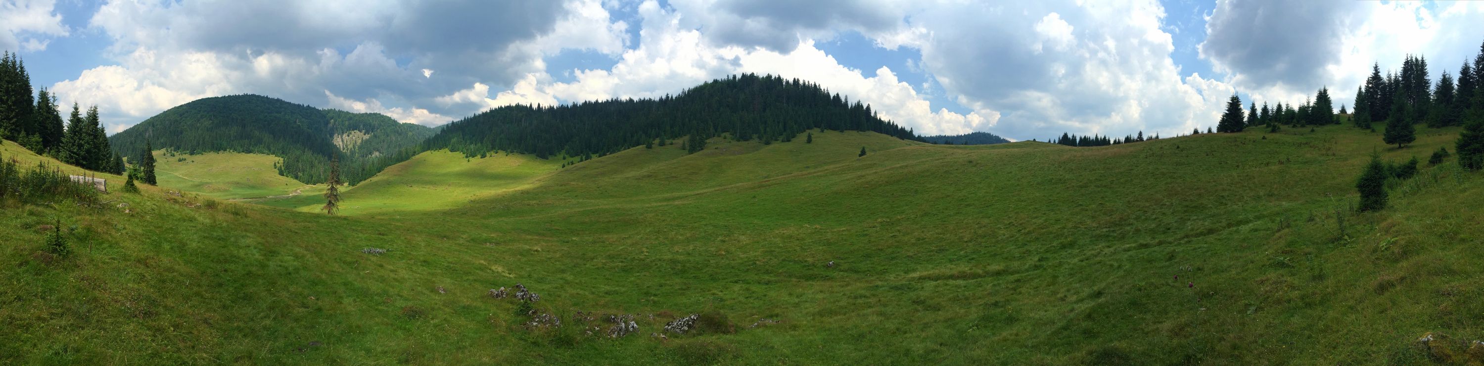 Panoramic shot of the Padiș plateau. iPhone 6 Plus: 1/2639 @ ƒ/2.2, ISO 32