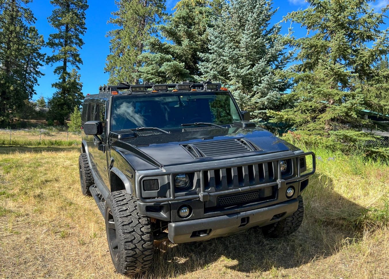 A black vehicle parked in a field Description automatically generated