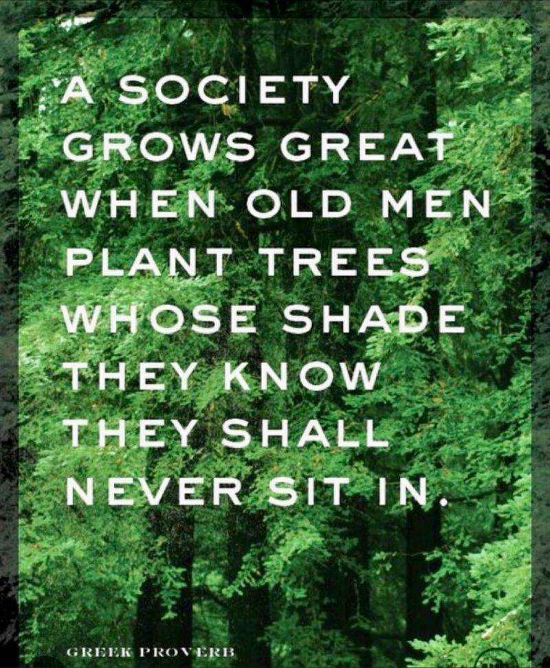 society old men trees quote