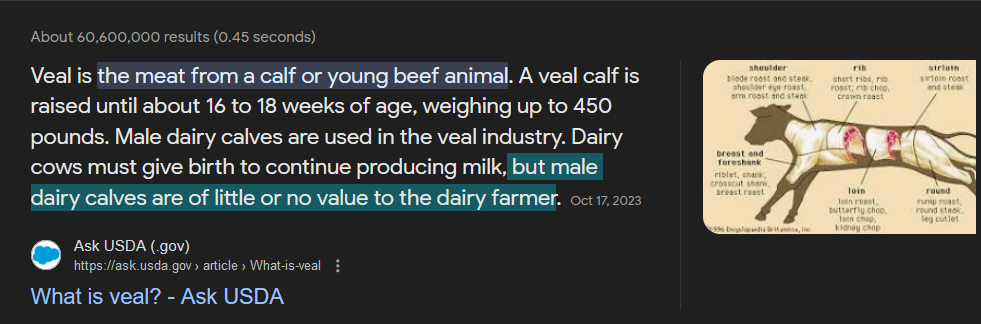 male dairy cows are less valuable to farmers