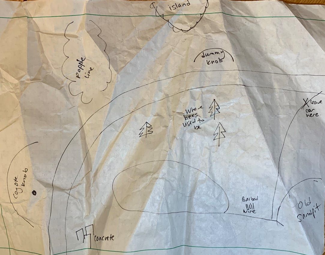 The setting for “the ellipse drive,” drawn just now to show you—crumpled up and thrown away once you’ve finished looking at it. Just like mom used to make.