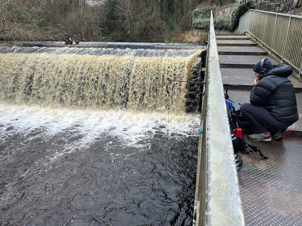 hydrophone testing at Water of Leith
