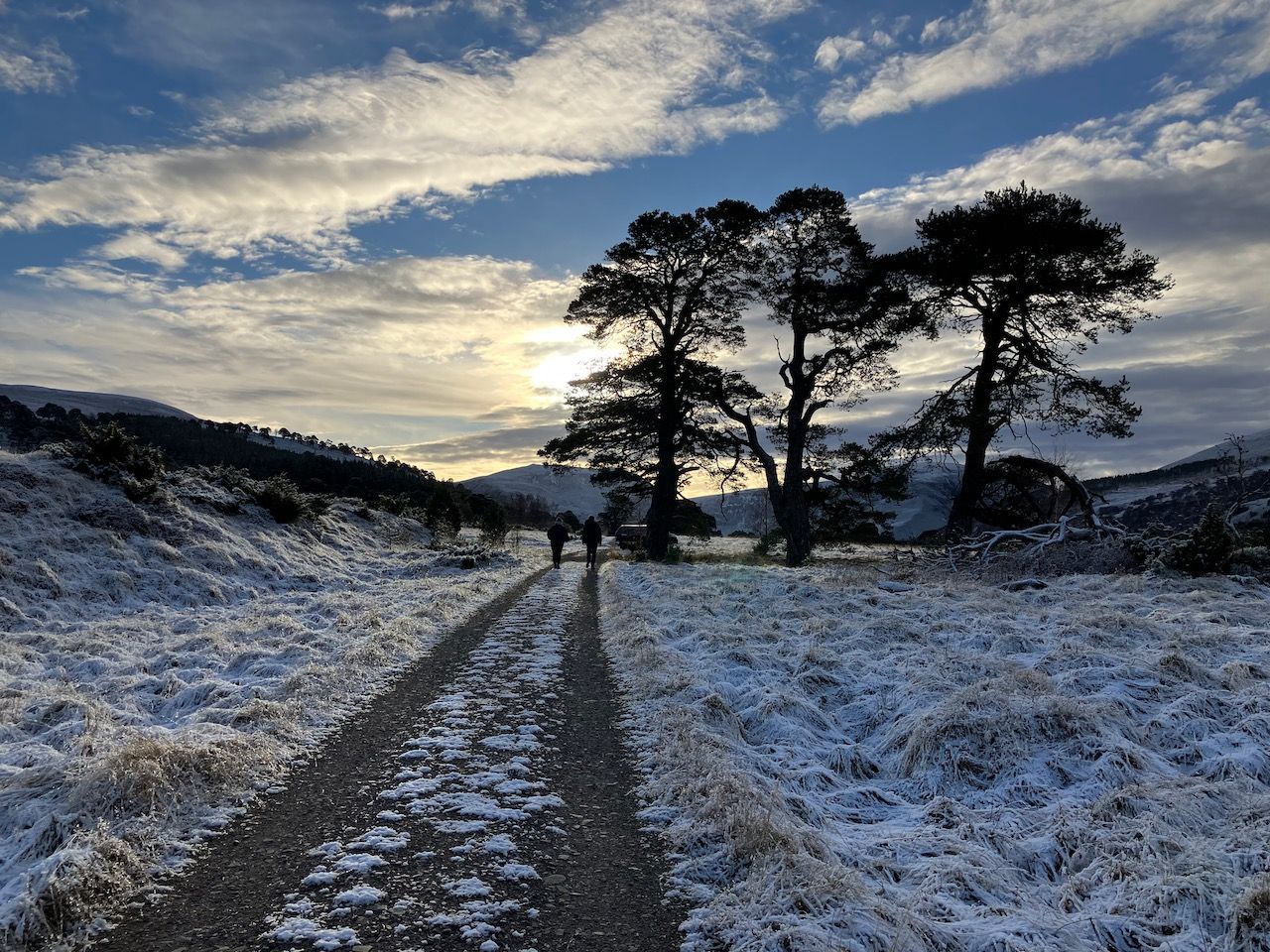 data retrieval from Glen Feshie