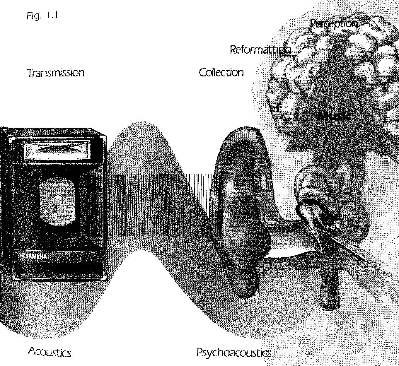 FM manual capture