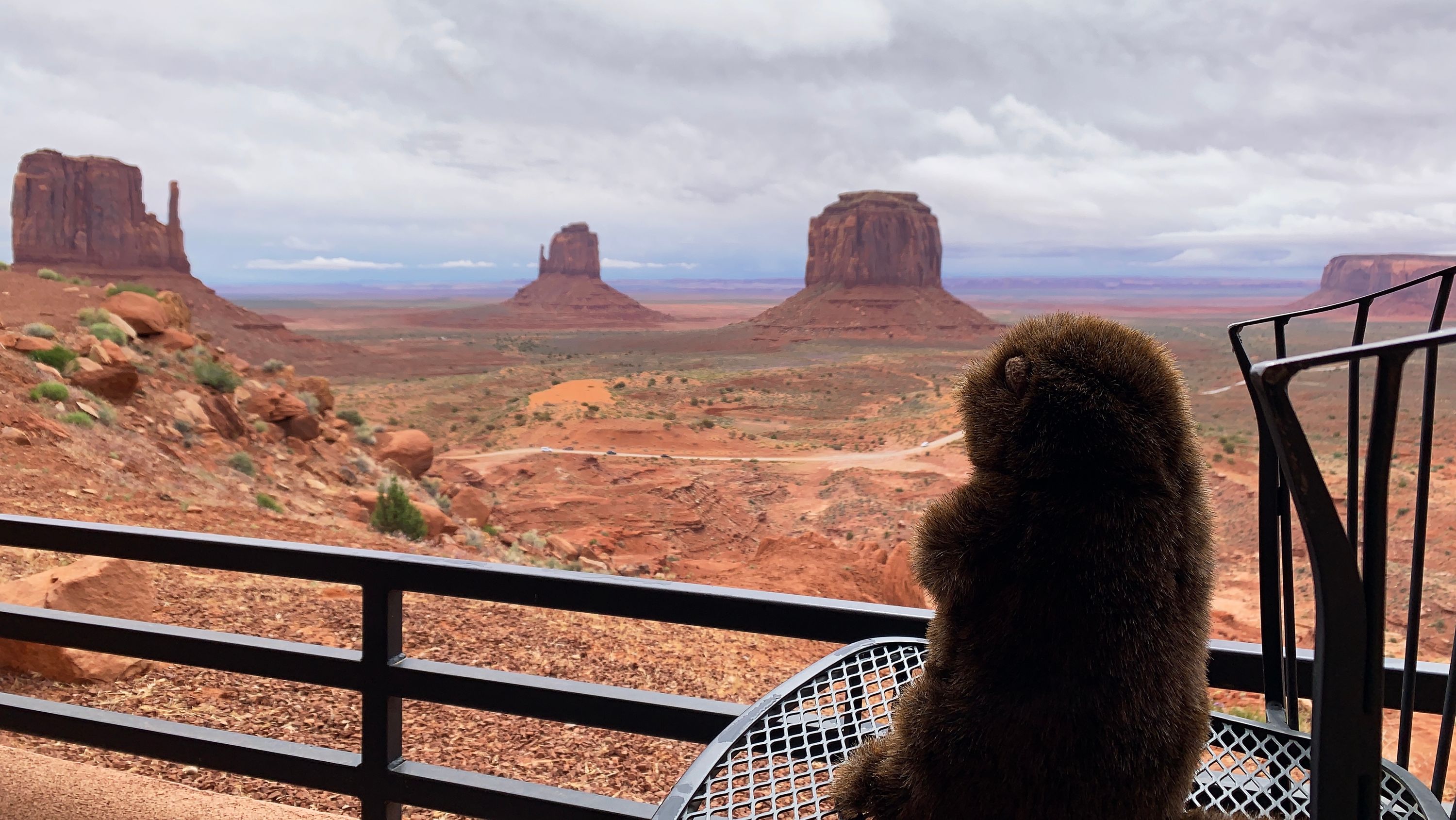 The Groundhog sits on his balcony at The View Hotel at Monument Valley and wonders how the hotel was named.