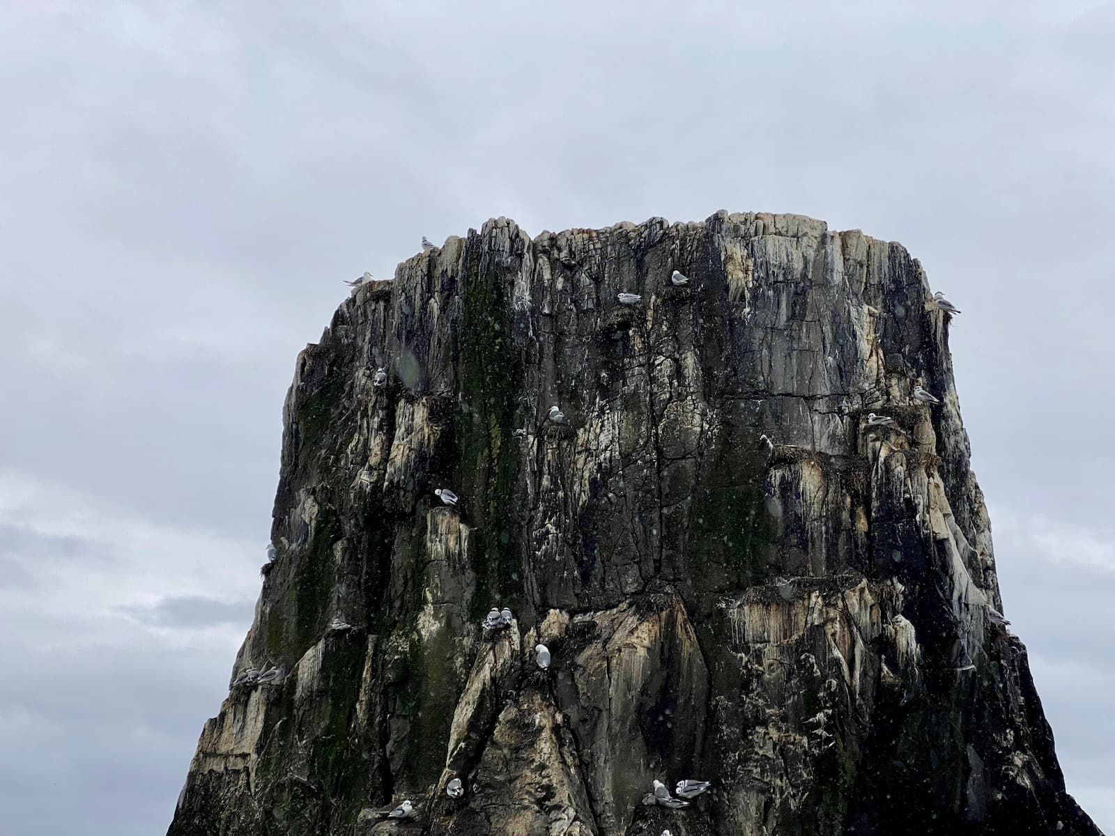 An Outer Farne Island in a grey North Sea