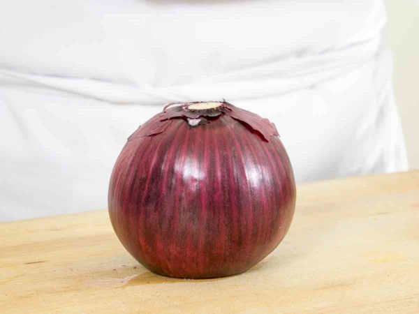 cut-onion-root-side-top-600x450